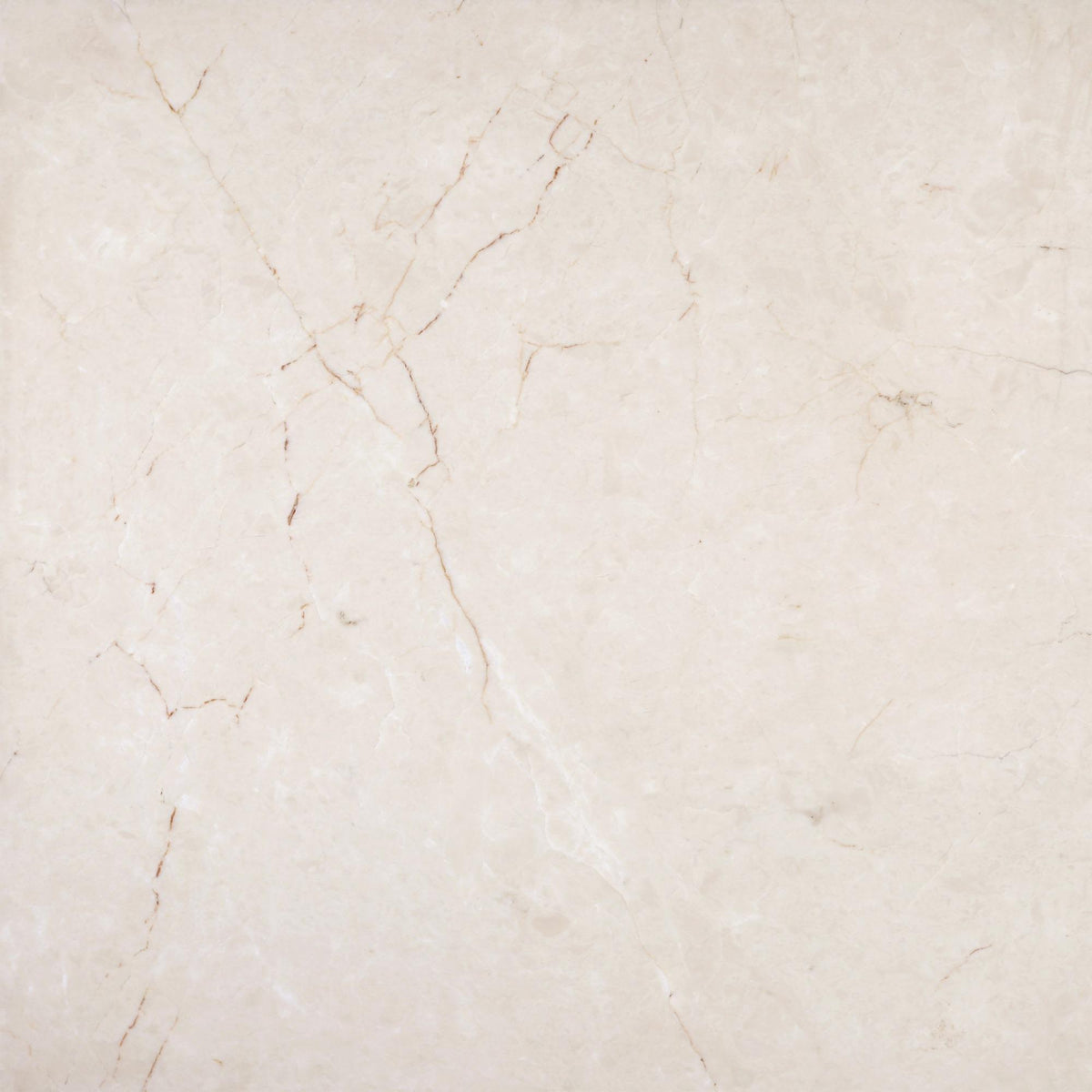 Crema Ella Honed 24&#39;&#39; x 24&#39;&#39;  x 5/8&#39;&#39; Field Tile