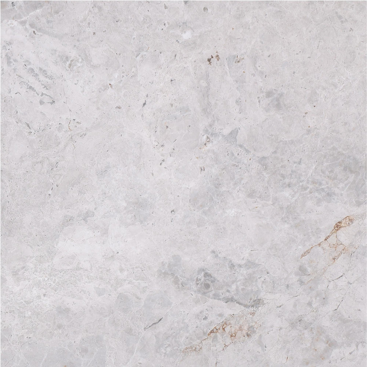 Tundra Grey Honed 18&#39;&#39; x 18&#39;&#39;  x 5/8&#39;&#39; Field Tile