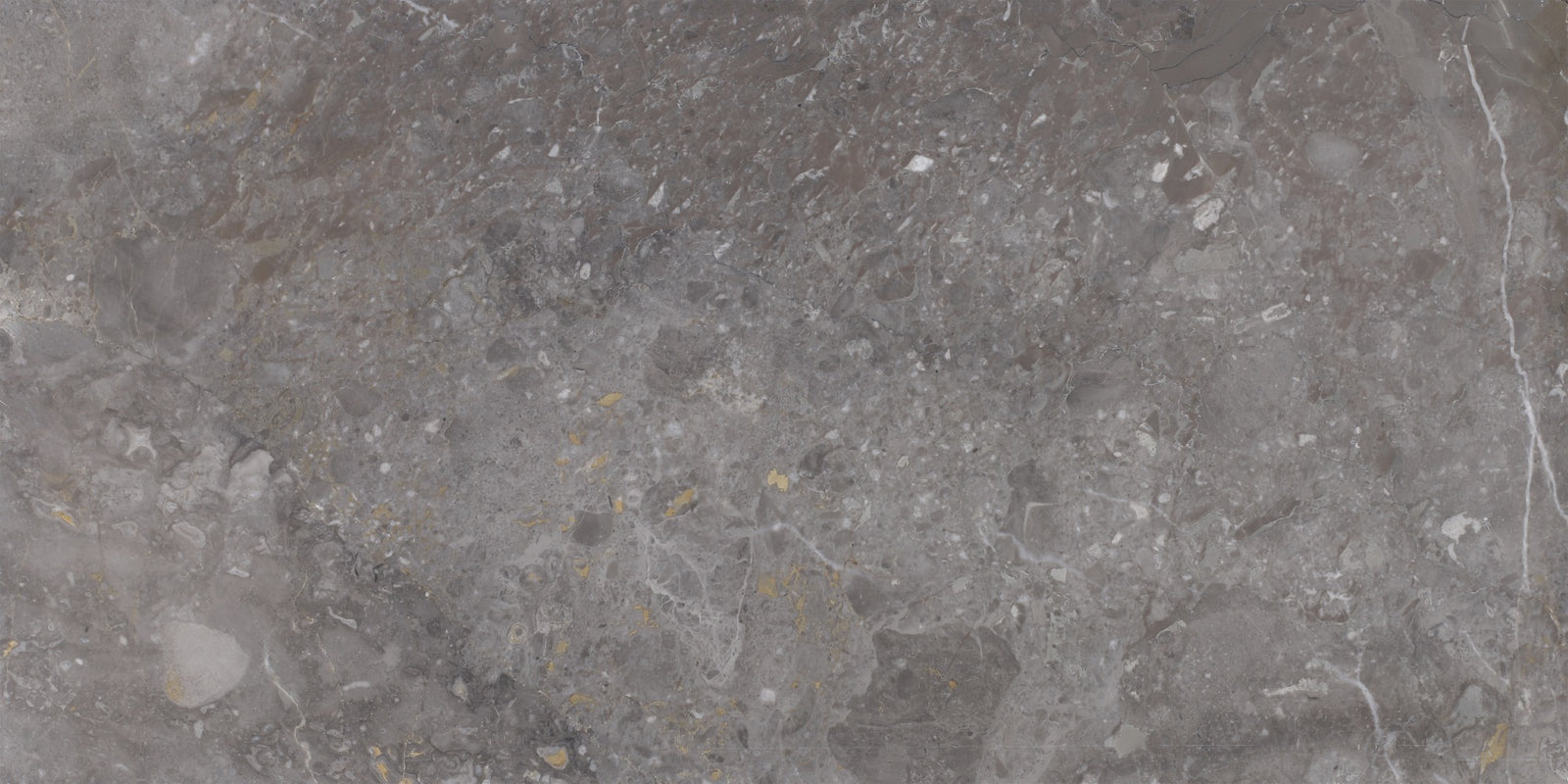 Caribbean Grey Honed 12'' x 24''  x 1/2'' Field Tile Building Materials 