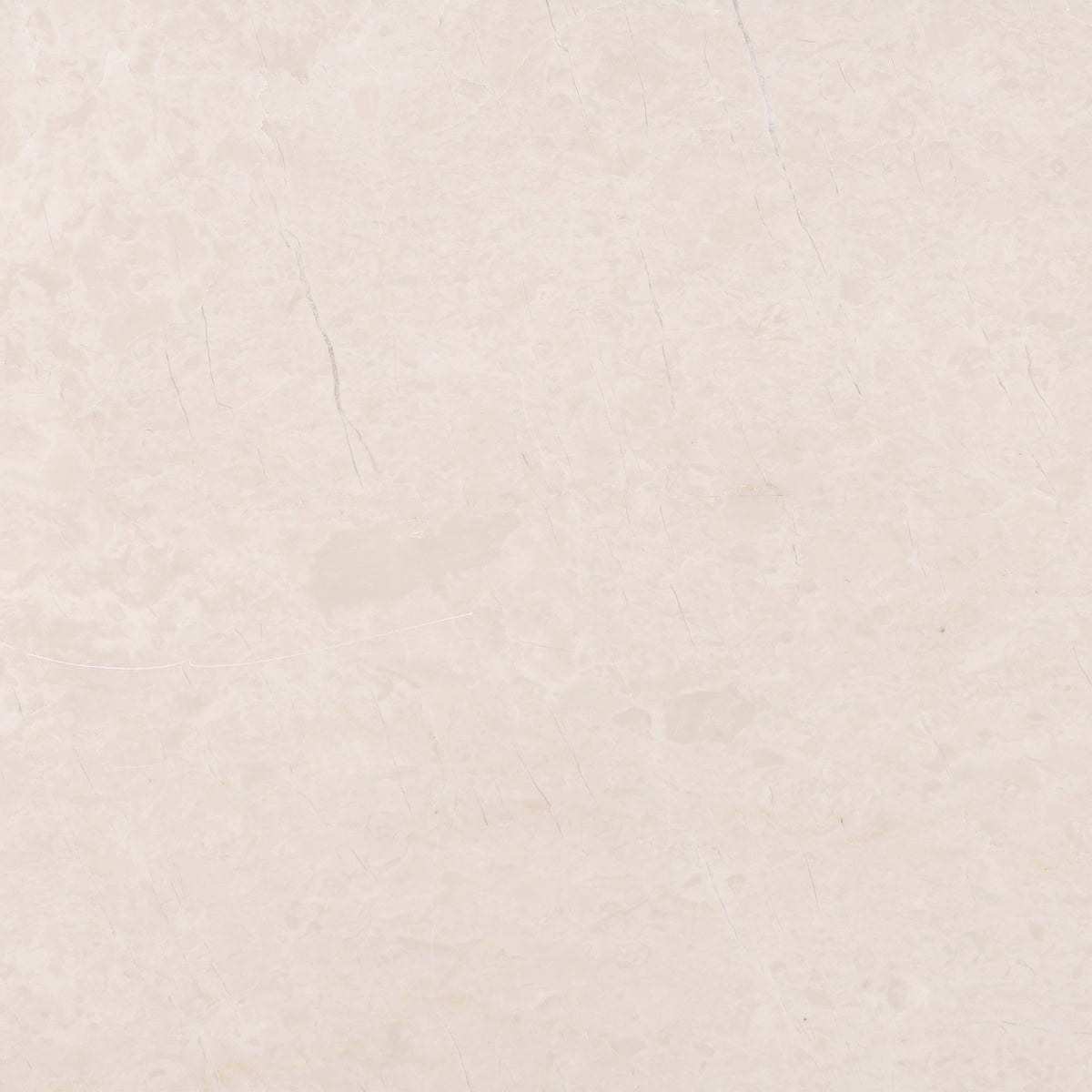 Crema Ella Honed 12'' x 12''  x 3/8'' Field Tile