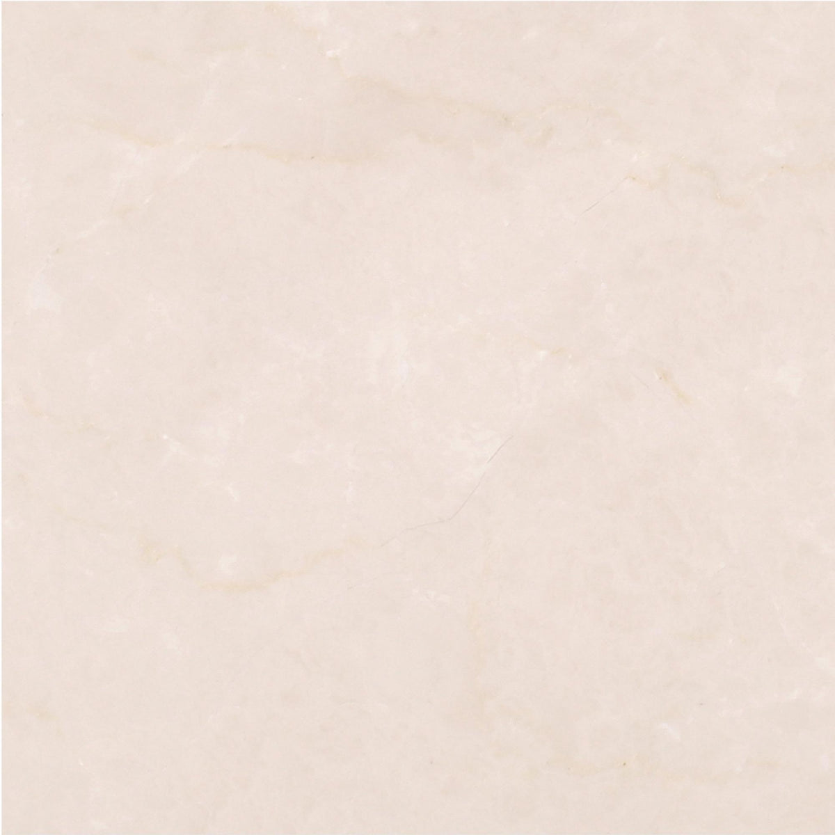 Crema Ella Honed 6&#39;&#39; x 6&#39;&#39;  x 3/8&#39;&#39; Field Tile