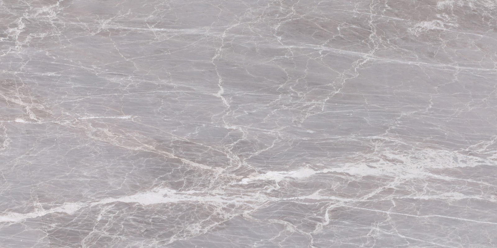 Nordic Grey Honed 12'' x 24''  x 1/2'' Field Tile Field Tile 