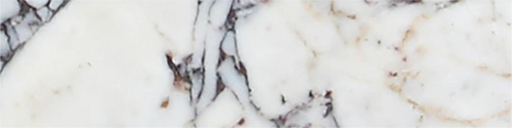 Calacatta Viola Honed 3'' x 12''  x 3/8'' Field Tile Field Tile 