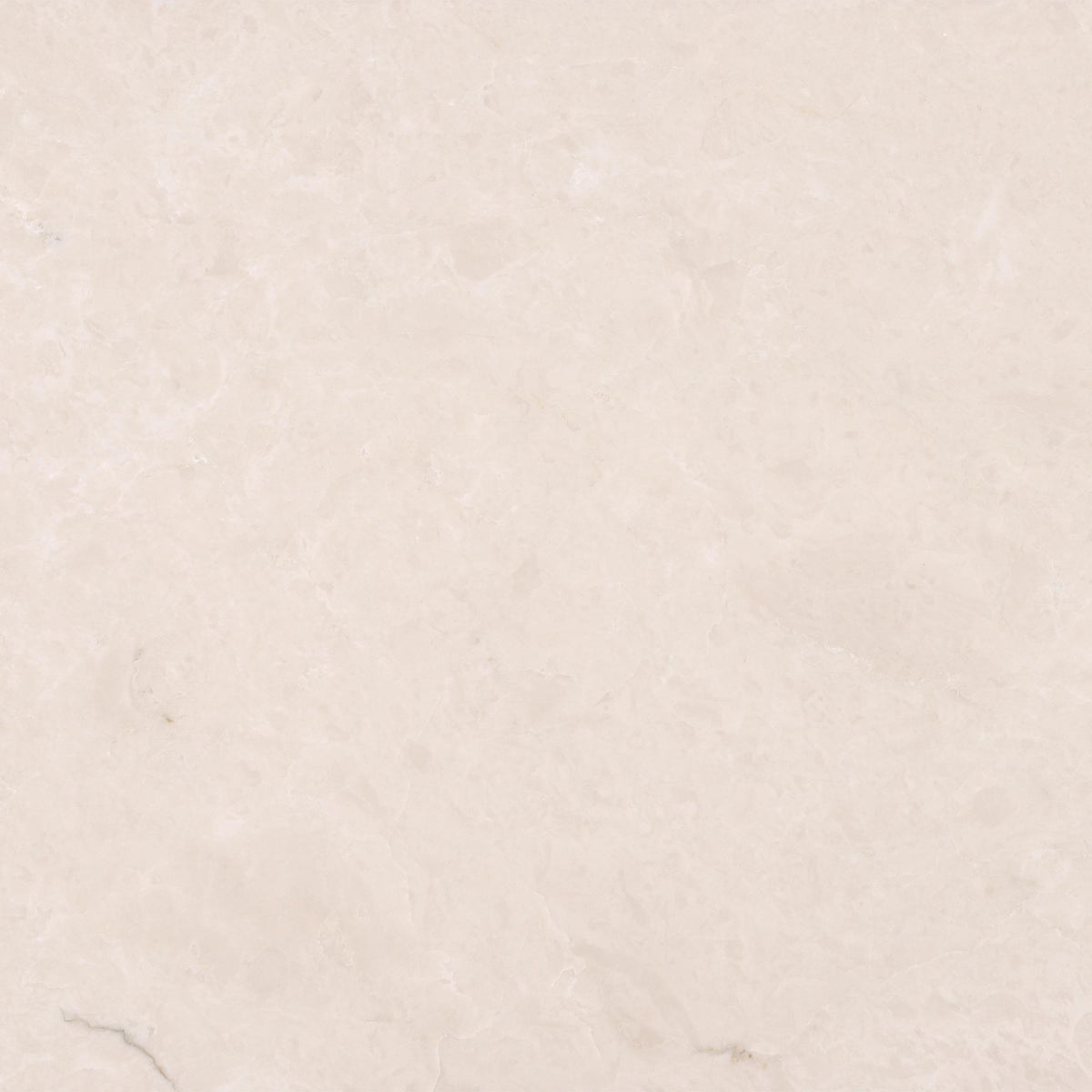 Crema Ella Honed 12&#39;&#39; x 12&#39;&#39;  x 3/8&#39;&#39; Field Tile