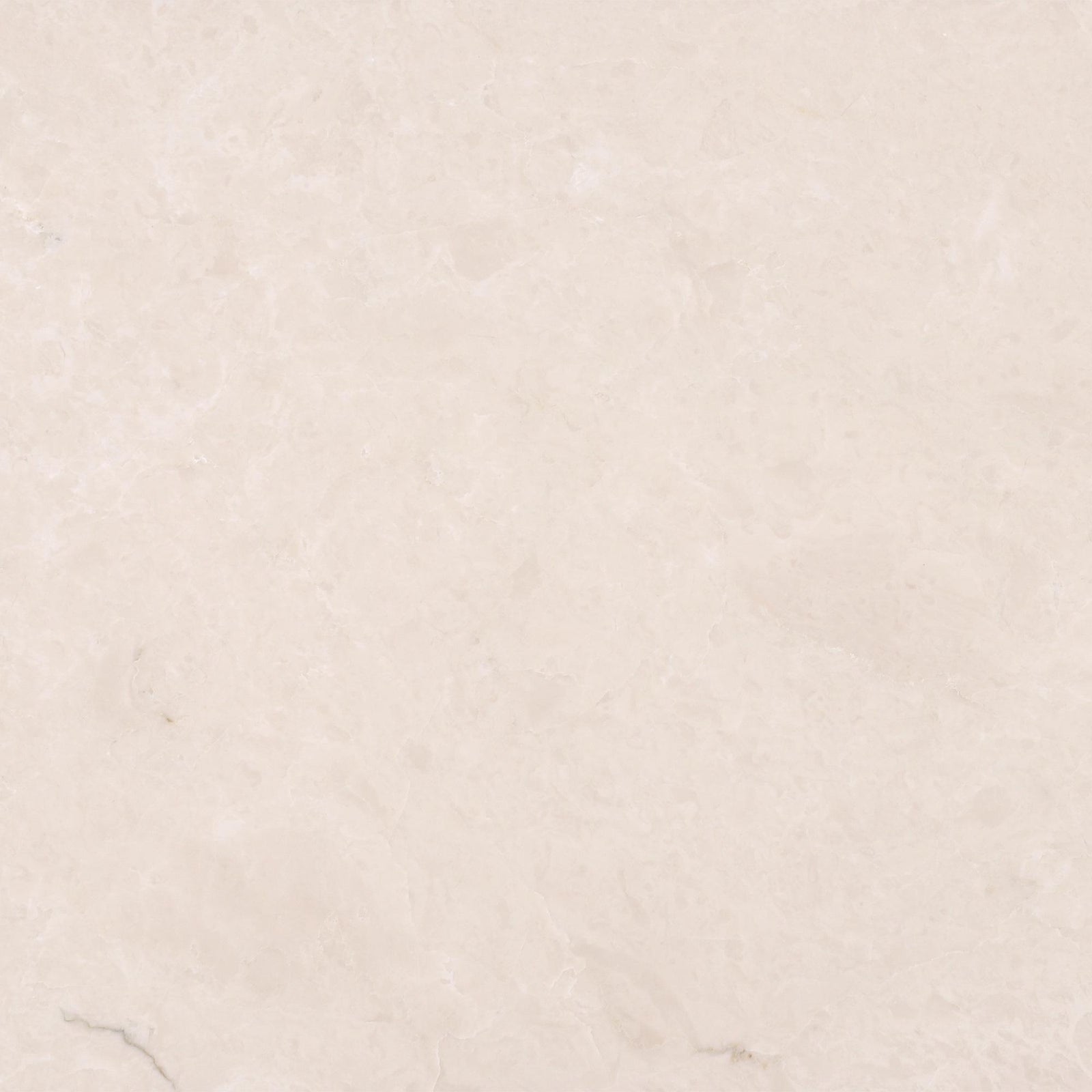 Crema Ella Honed 12'' x 12''  x 3/8'' Field Tile Field Tile 
