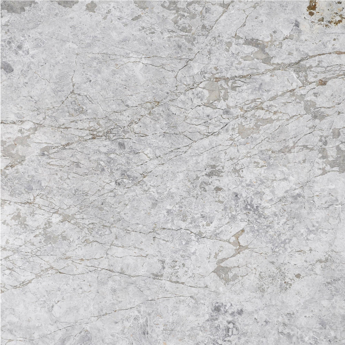 Tundra Grey DA Polished 18&#39;&#39; x 18&#39;&#39;  x 5/8&#39;&#39; Field Tile