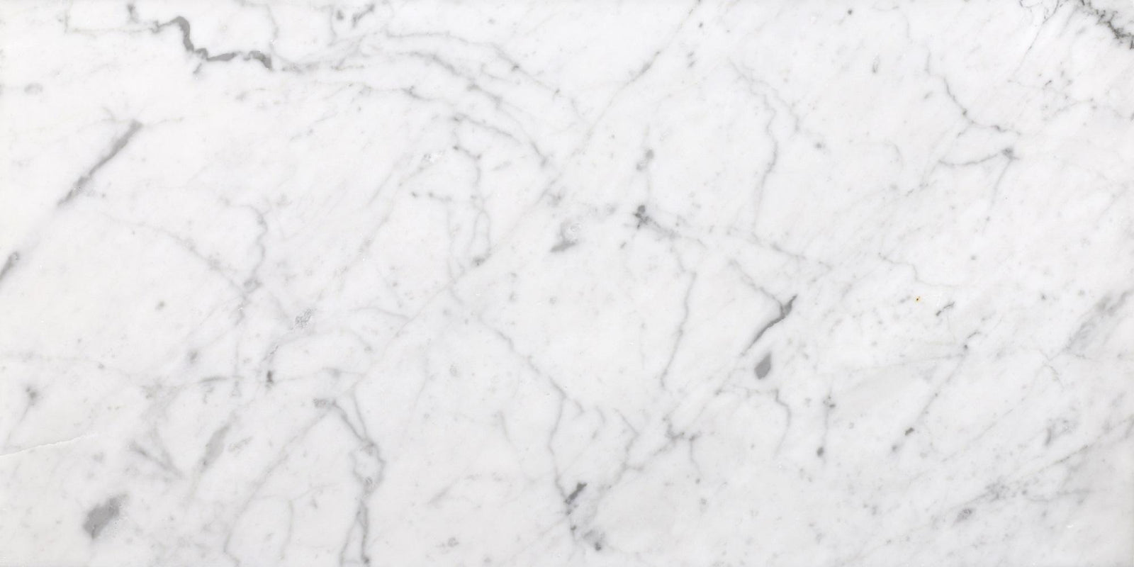Bianco Carrara Honed 12'' x 24''  x 3/8'' Field Tile Field Tile 