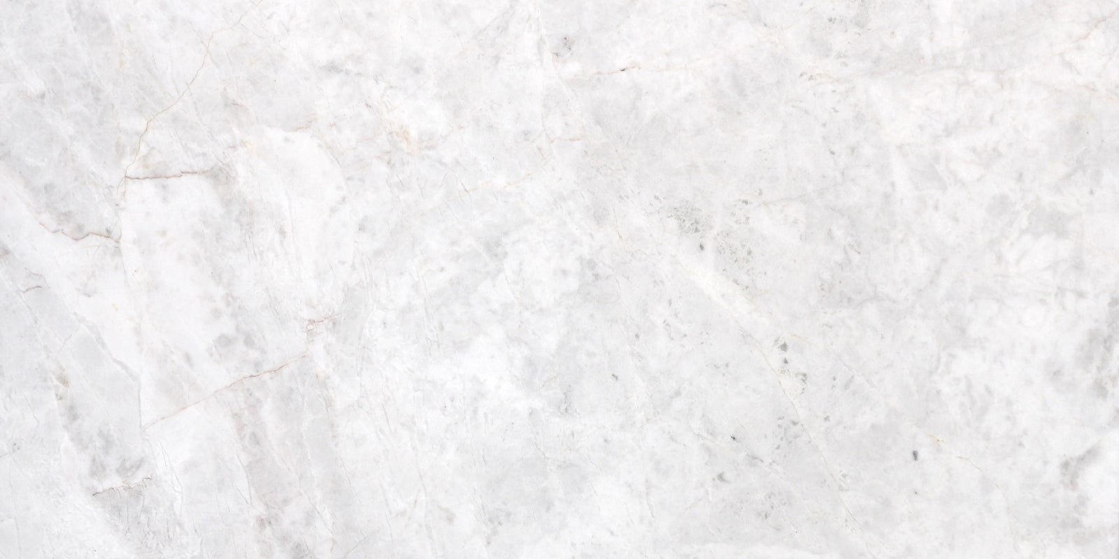 Elegantia Honed 12'' x 24''  x 1/2'' Field Tile Field Tile 