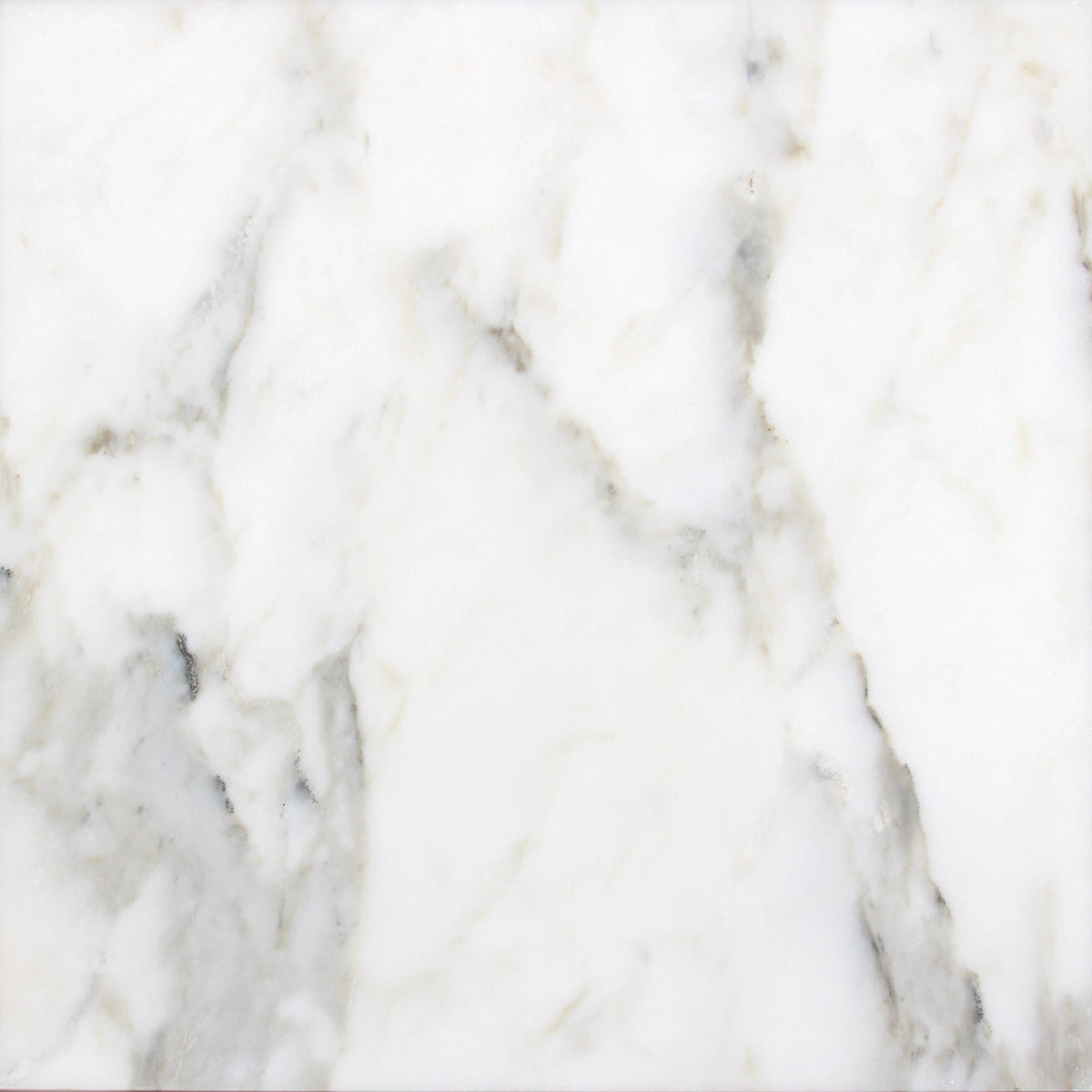 Calacatta Vida Honed 24'' x 24''  x 1/2'' Field Tile