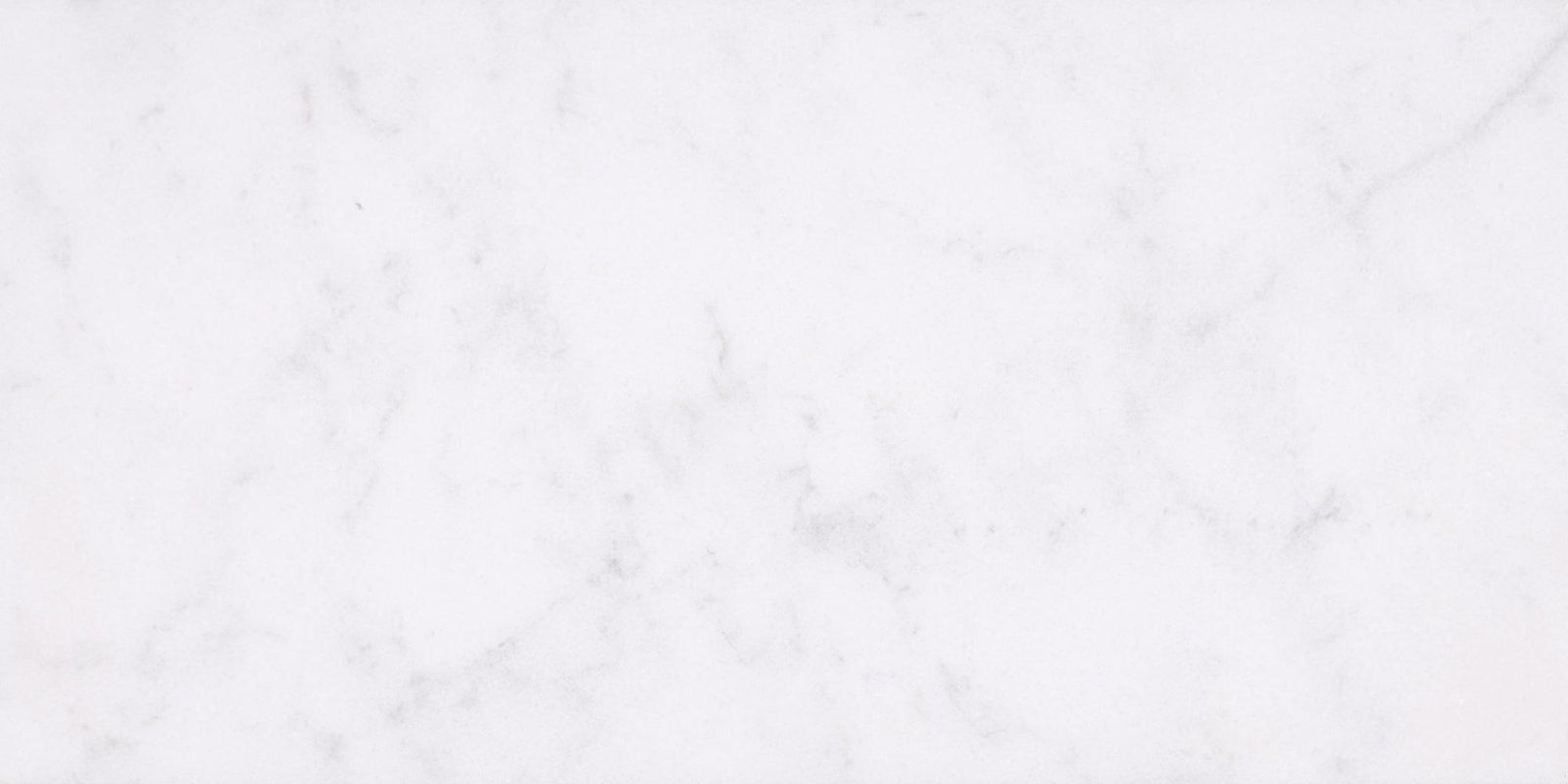 Alba Vera Polished 12'' x 24''  x 3/8'' Field Tile Field Tile 