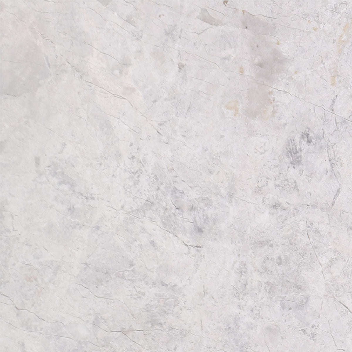 Tundra Grey Honed 12&#39;&#39; x 12&#39;&#39;  x 3/8&#39;&#39; Field Tile Field Tile 