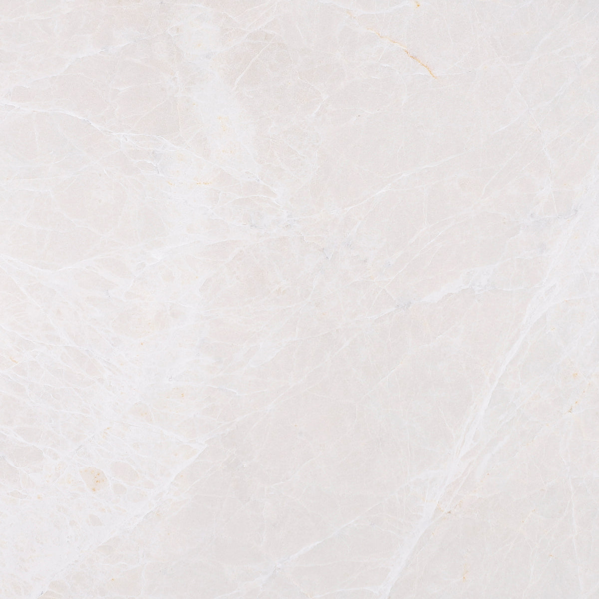 Moon Cream Honed 12'' x 12''  x 3/8'' Field Tile