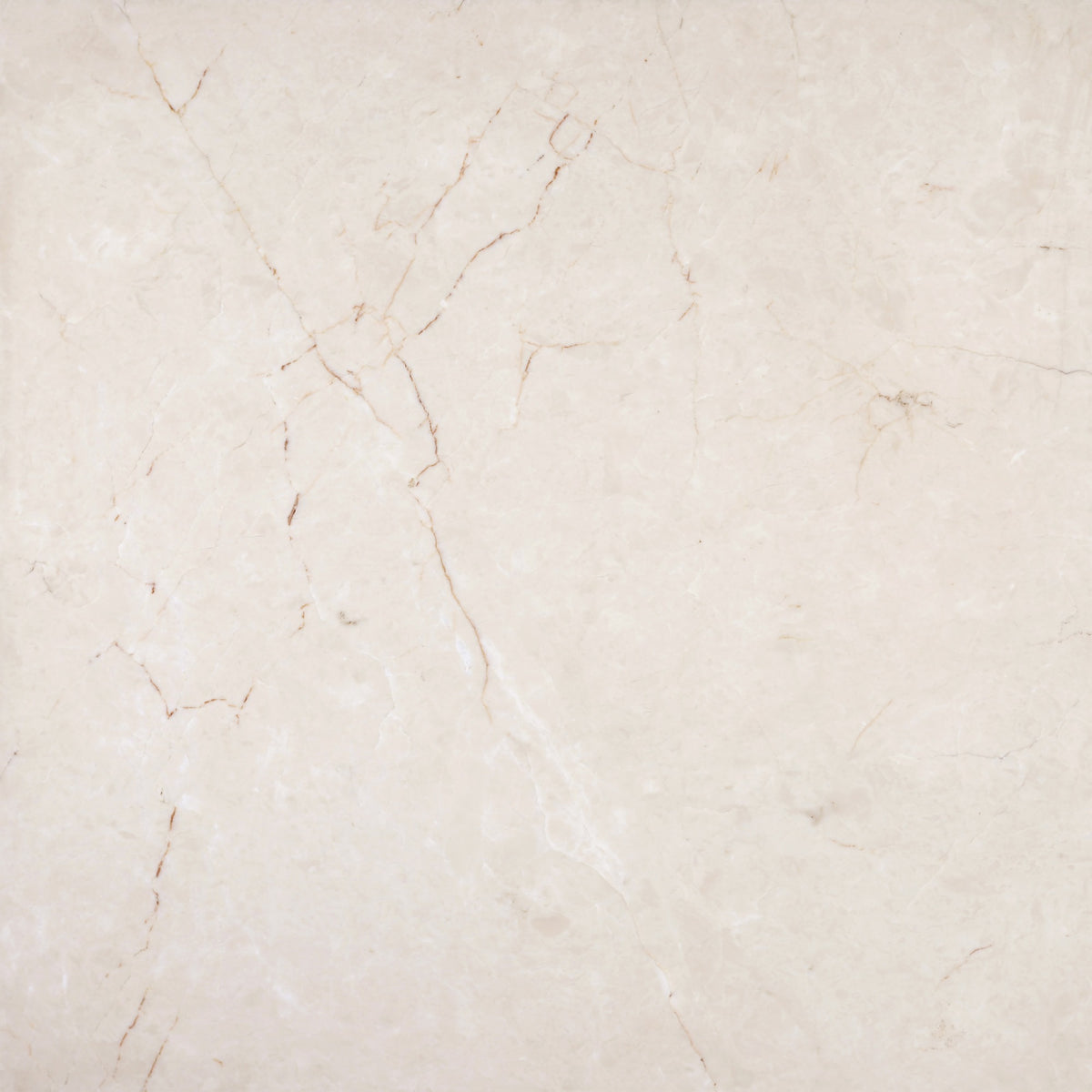 Crema Ella Honed 24'' x 24''  x 5/8'' Field Tile Building Materials 