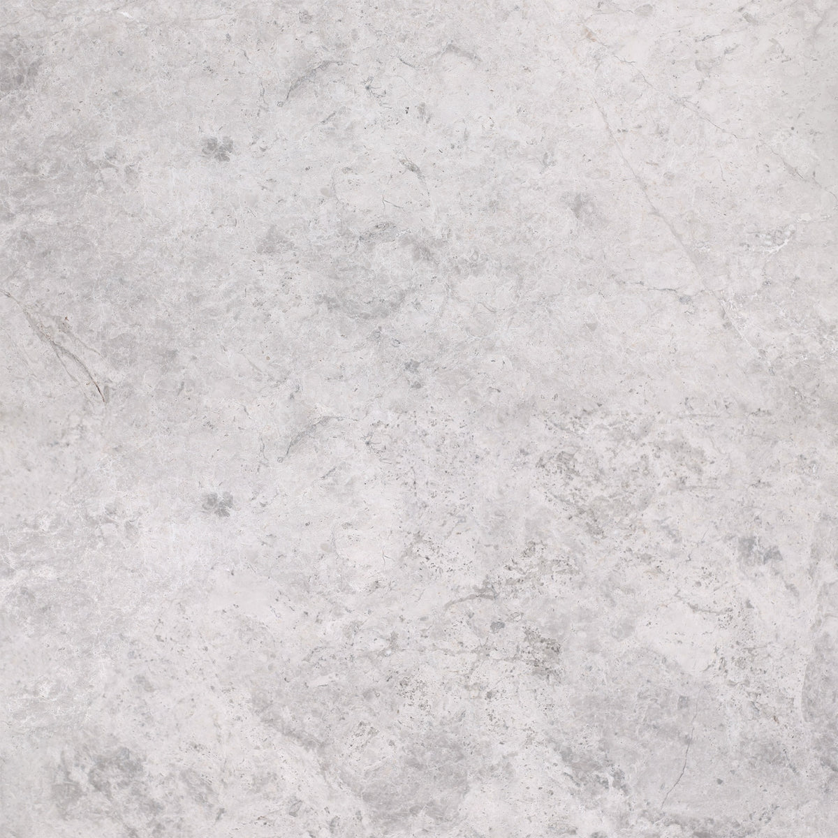 Tundra Grey Honed 24'' x 24''  x 5/8'' Field Tile