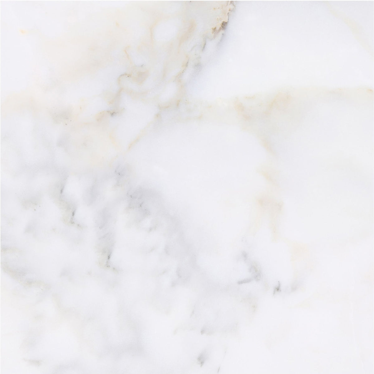 Calacatta Vida Honed 18'' x 18''  x 3/8'' Field Tile Building Materials 