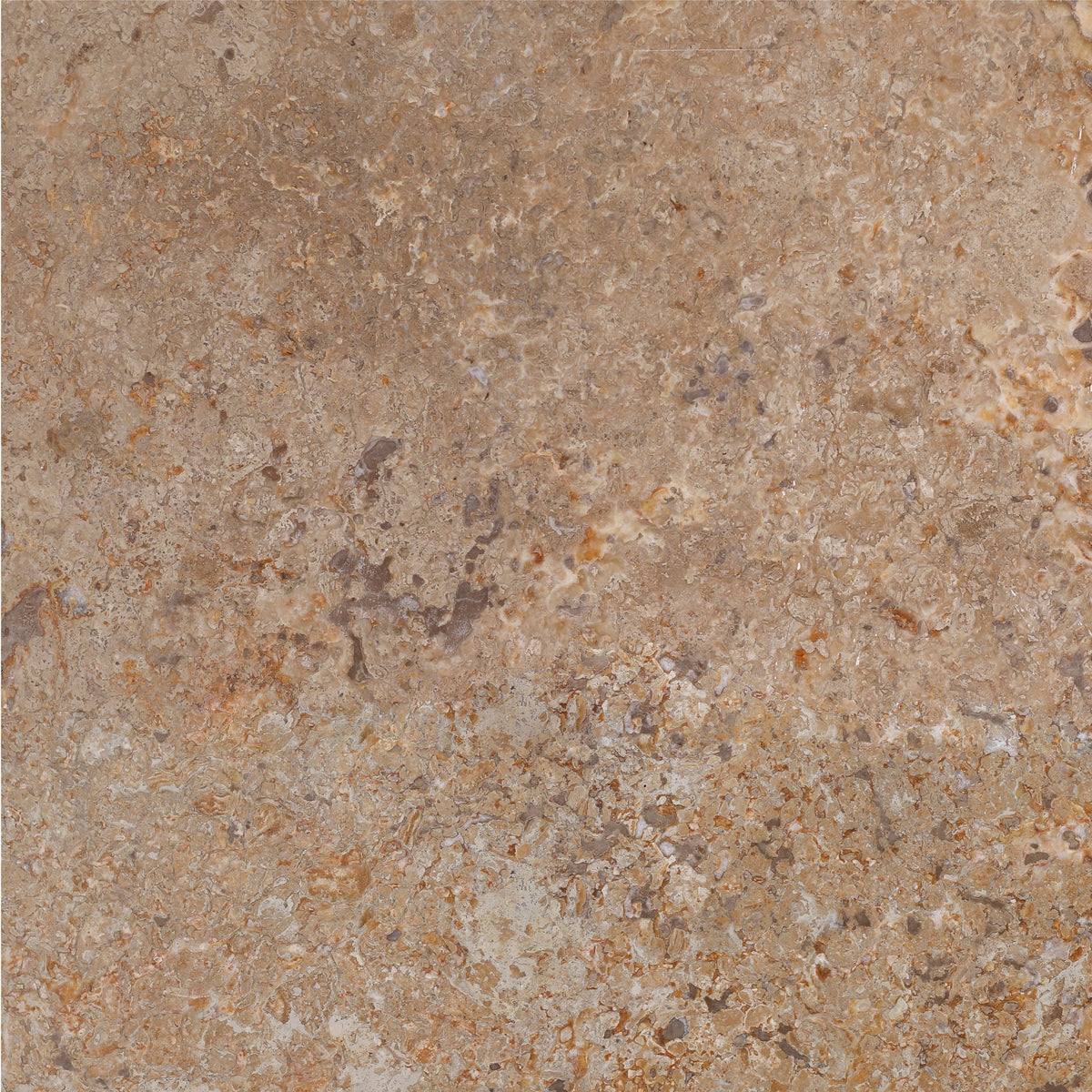 Kona Brown CC Honed 18'' x 18''  x 1/2'' Field Tile
