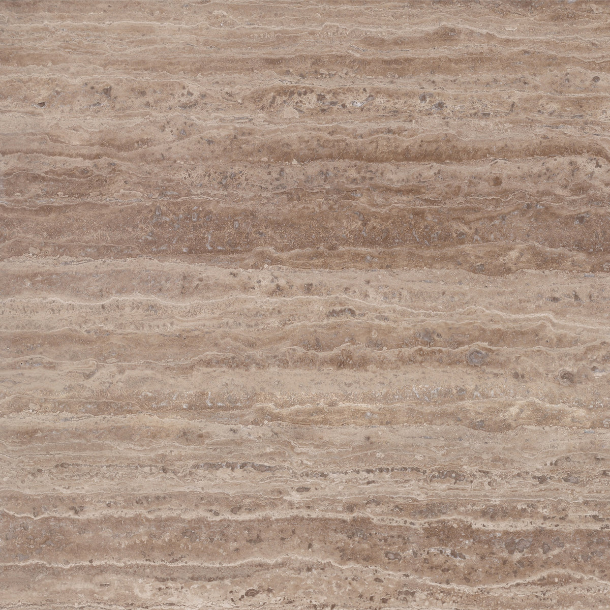 Noce Dark VC Polished 18'' x 18''  x 1/2'' Field Tile Building Materials 