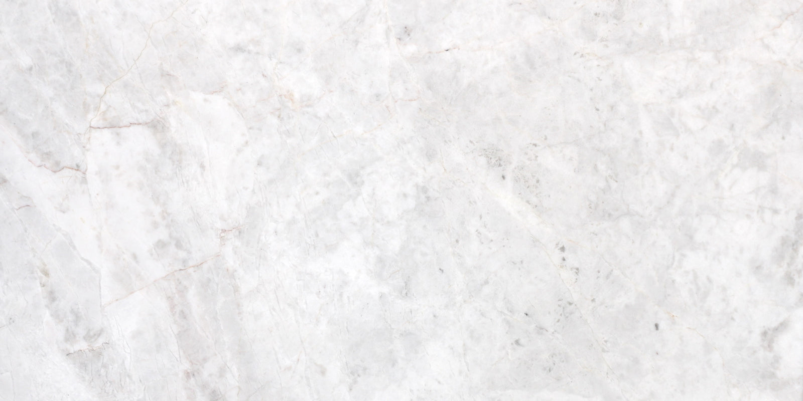 Elegantia Honed 12'' x 24''  x 1/2'' Field Tile Building Materials Elegantia  12'' x 24'' Marble Field Tile