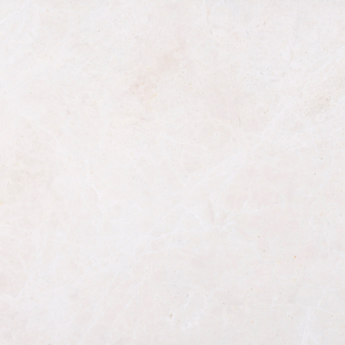 Moon Cream Honed 12'' x 12''  x 3/8'' Field Tile