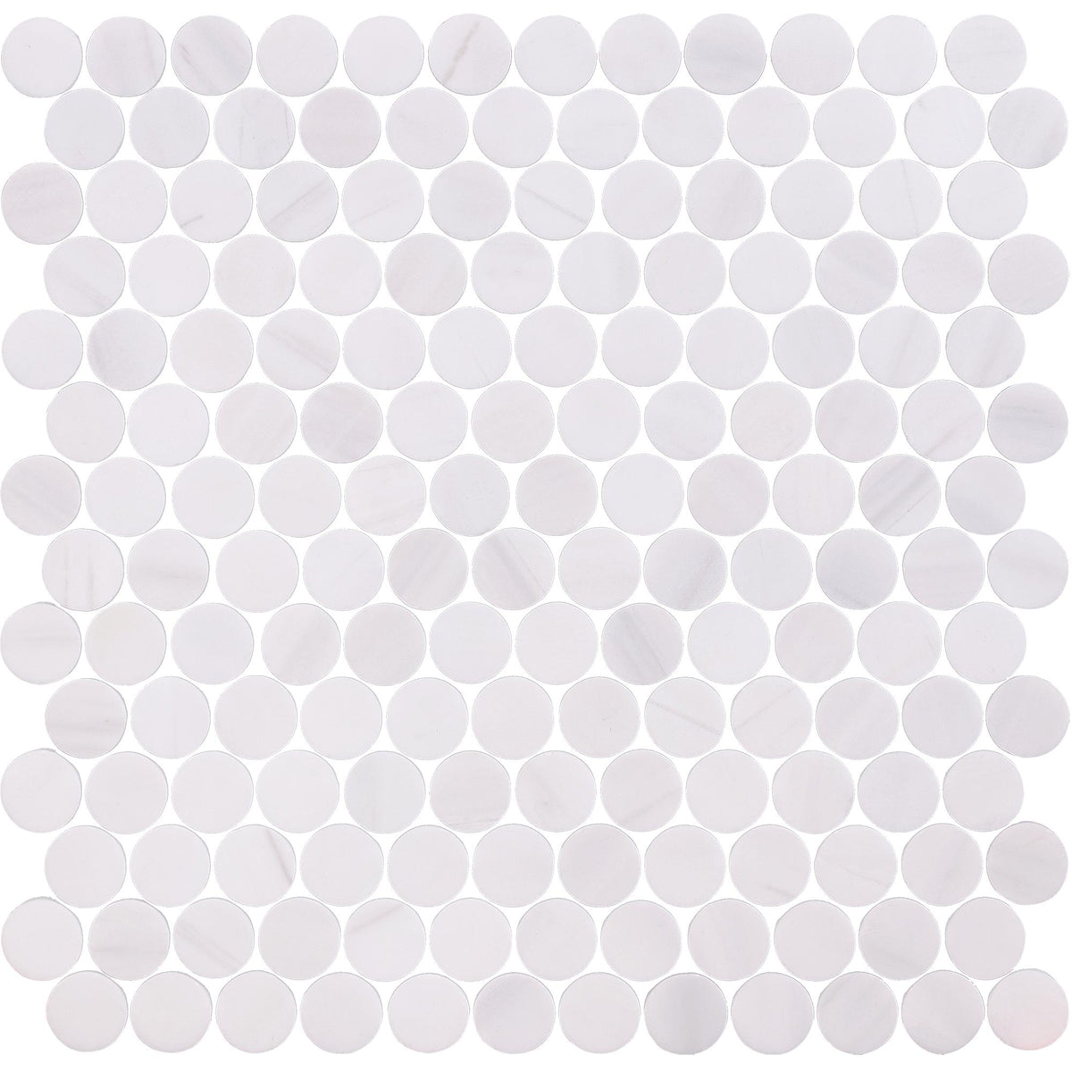 Glacier White Penny Round Honed Mosaic