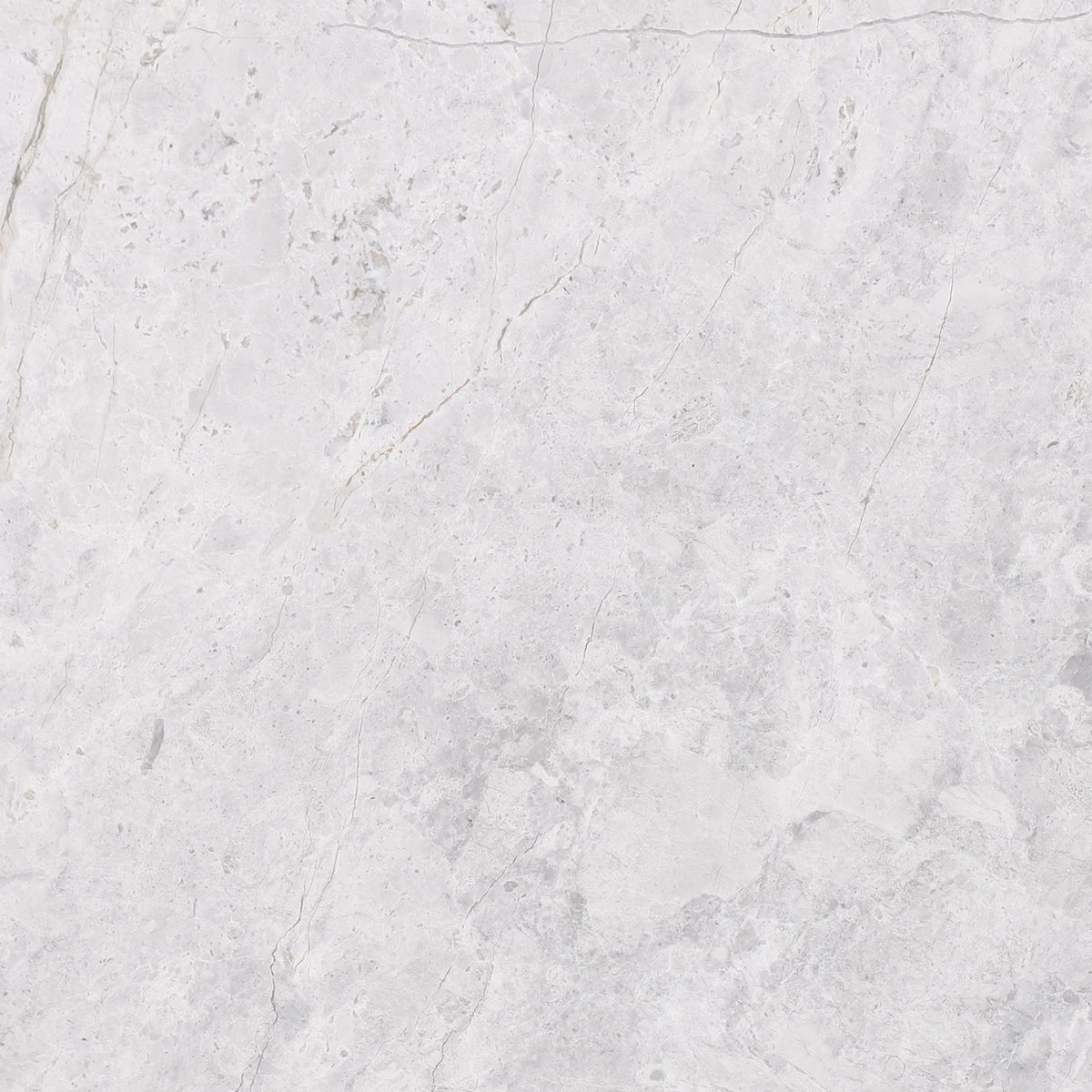 Tundra Grey Honed 18&#39;&#39; x 18&#39;&#39;  x 1/2&#39;&#39; Field Tile