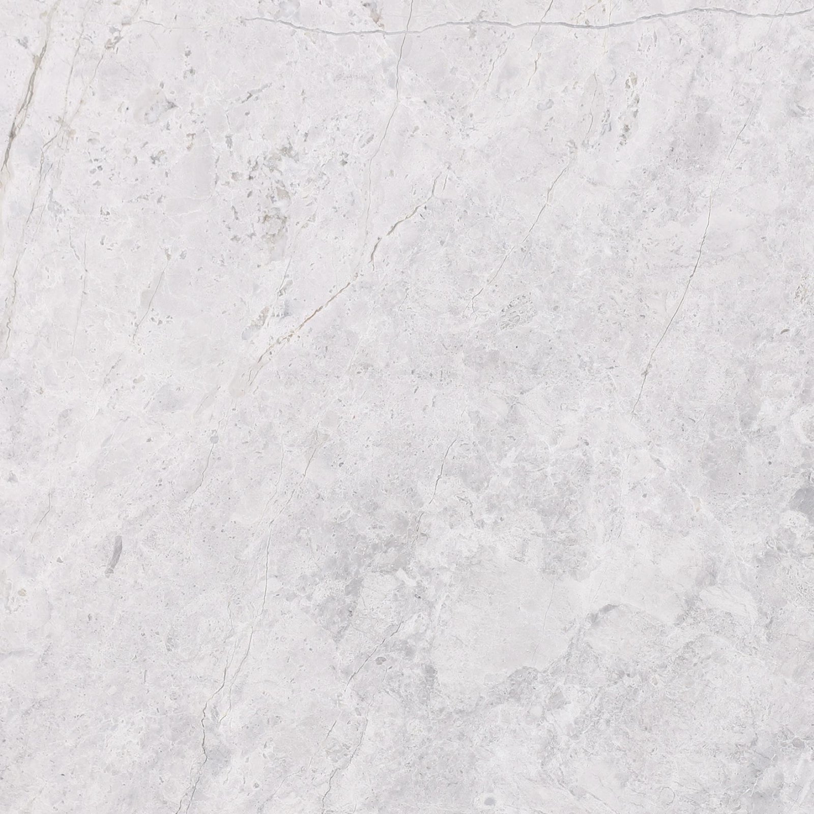 Tundra Grey Honed 18'' x 18''  x 1/2'' Field Tile Field Tile 