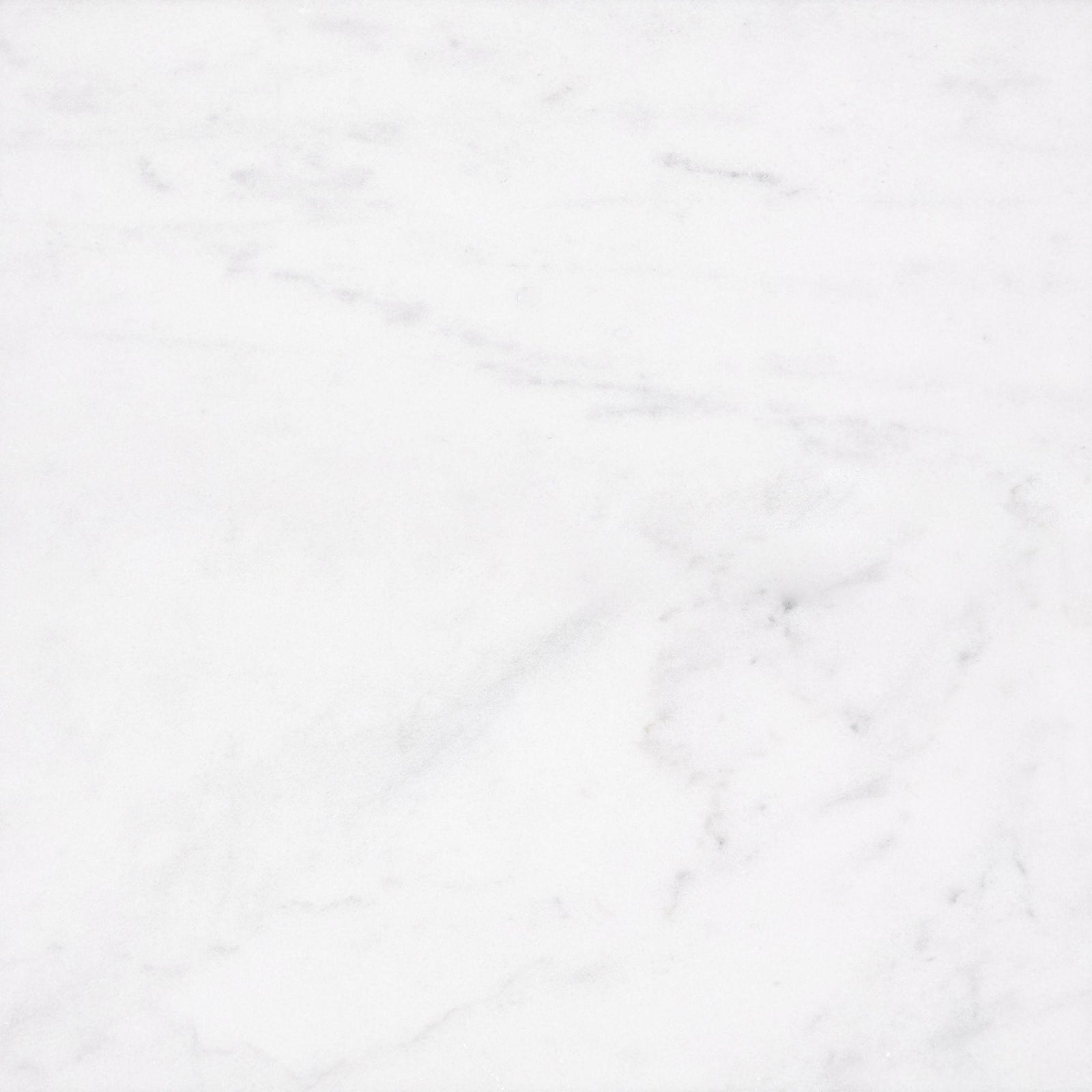 Alba Vera Honed 24'' x 24''  x 3/8'' Field Tile Field Tile Alba Vera 24'' x 24'' Marble Field Tile