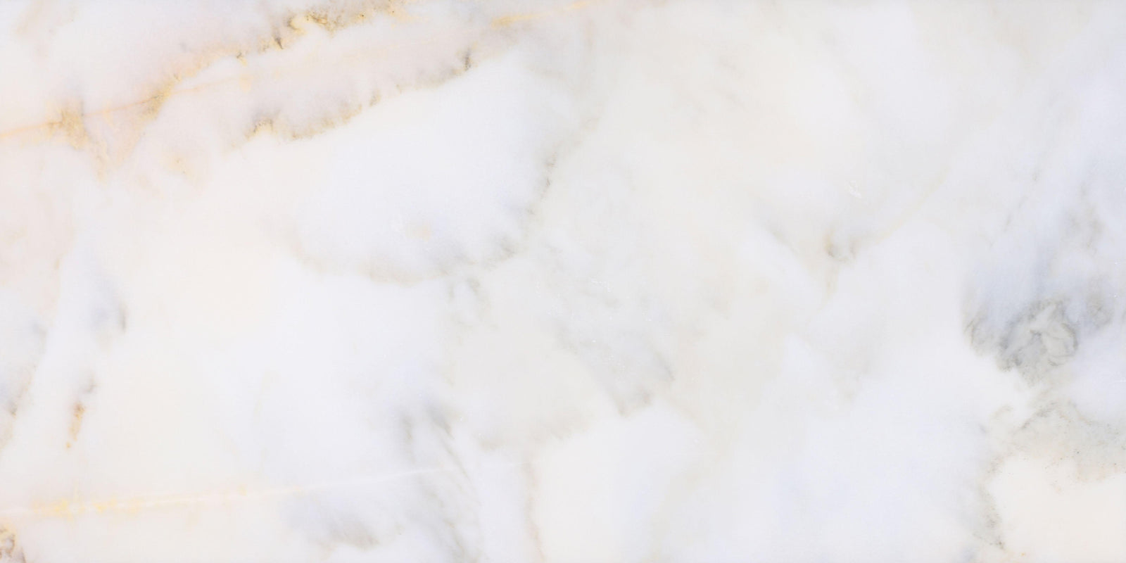 Calacatta Vida Polished 12'' x 24''  x 3/8'' Field Tile Field Tile 