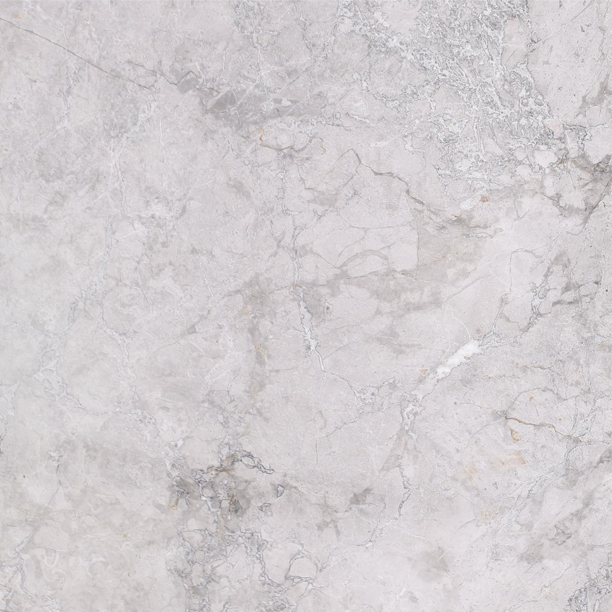 Tundra Grey Honed 18&#39;&#39; x 18&#39;&#39;  x 5/8&#39;&#39; Field Tile