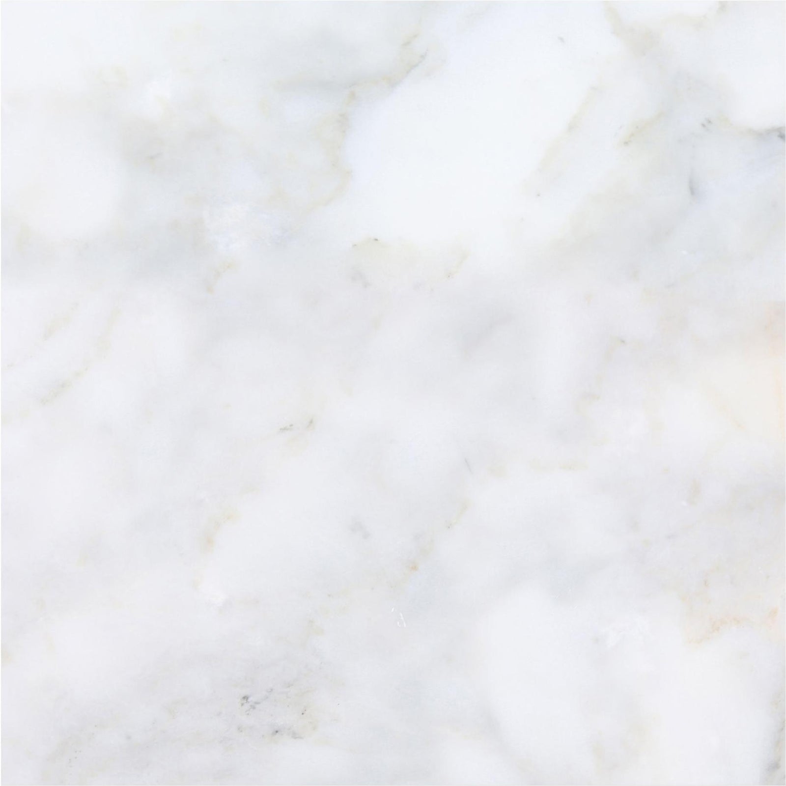 Calacatta Vida Honed 18'' x 18''  x 1/2'' Field Tile Field Tile 