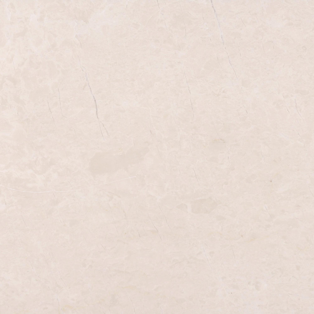 Crema Ella Honed 12&#39;&#39; x 12&#39;&#39;  x 3/8&#39;&#39; Field Tile