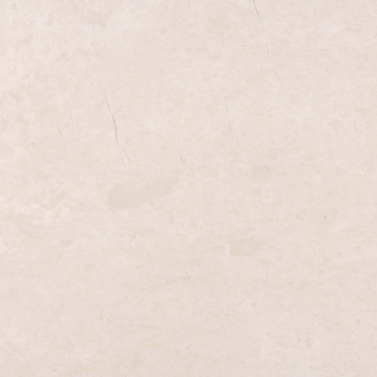 Crema Ella Honed 12'' x 12''  x 3/8'' Field Tile Field Tile 