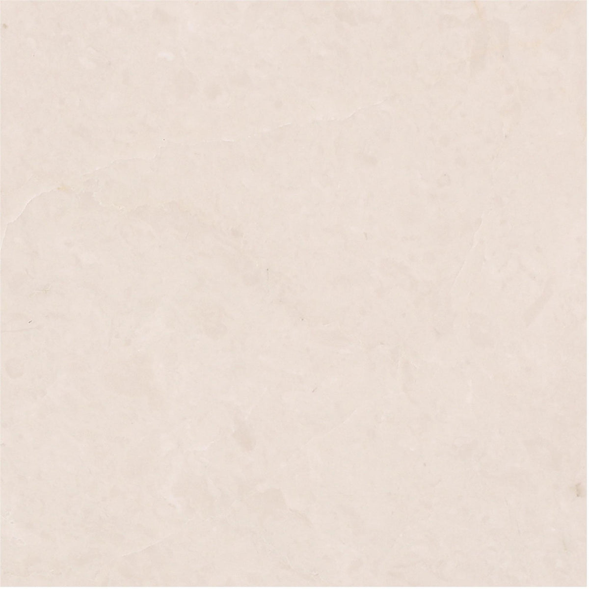 Crema Ella Honed 6&#39;&#39; x 6&#39;&#39;  x 3/8&#39;&#39; Field Tile