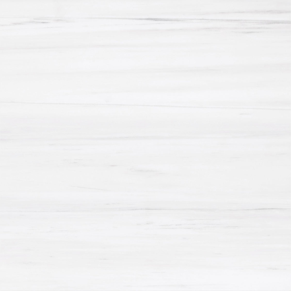 Glacier White Alanur Honed 18'' x 18''  x 1/2'' Field Tile Building Materials 