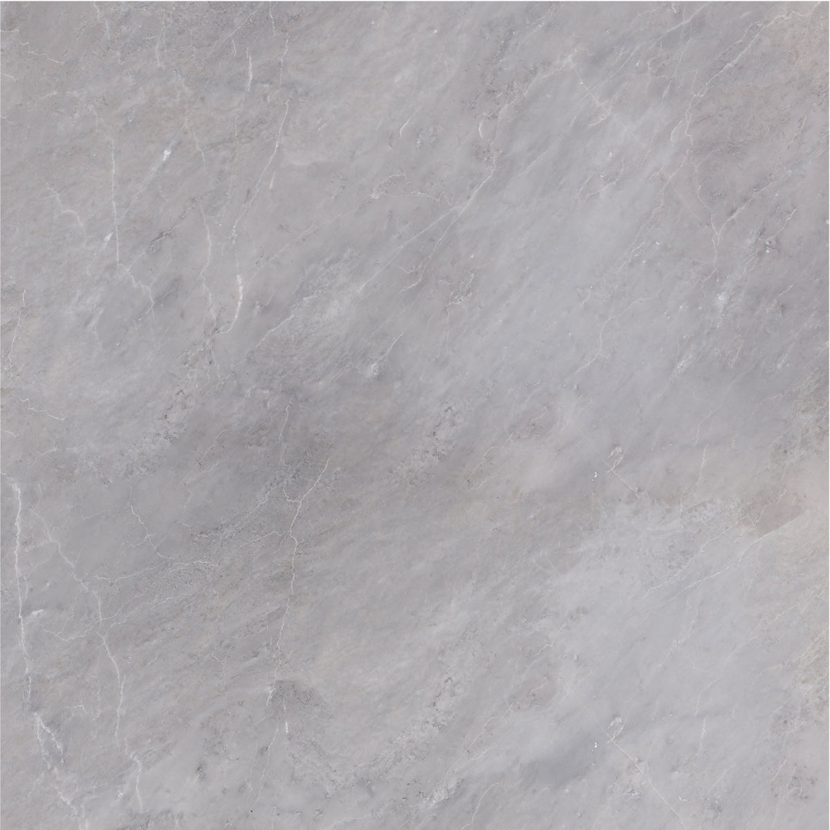 Earth Grey Honed 18'' x 18''  x 1/2'' Field Tile