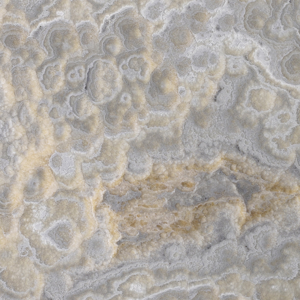 Dover Grey Onyx Polished 12'' x 12''  x 3/8'' Field Tile