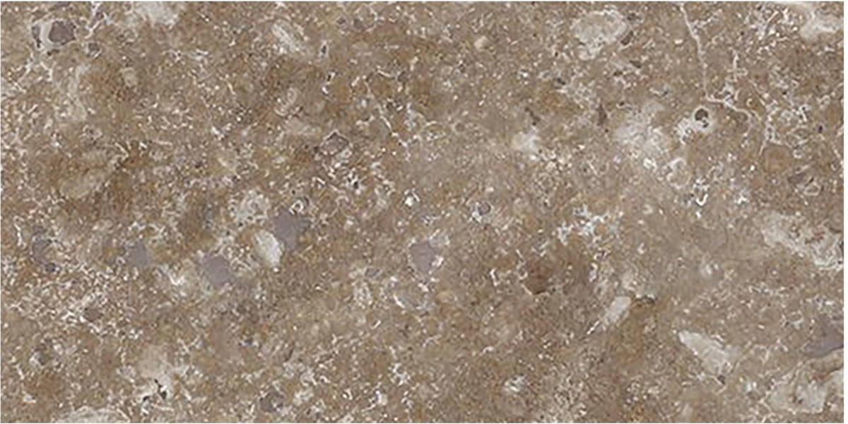 Noce Dark CC Honed 3'' x 6''  x 3/8'' Field Tile Building Materials 
