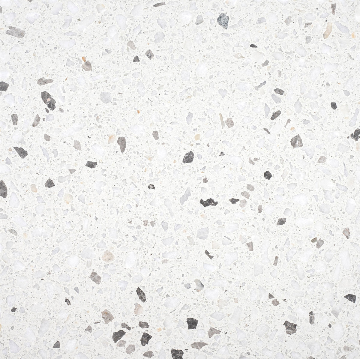 Biarritz White Honed 24'' x 24''  x 1/2'' Terrazzo Field Tile #44