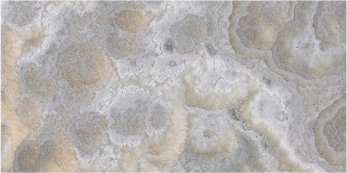 Dover Grey Onyx Honed 3'' x 6''  x 3/8'' Field Tile