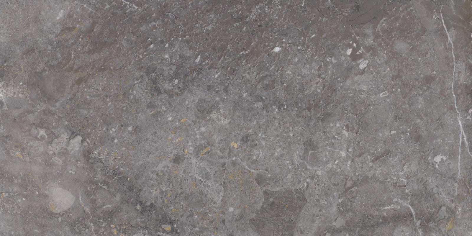 Caribbean Grey Honed 12'' x 24''  x 1/2'' Field Tile Field Tile 