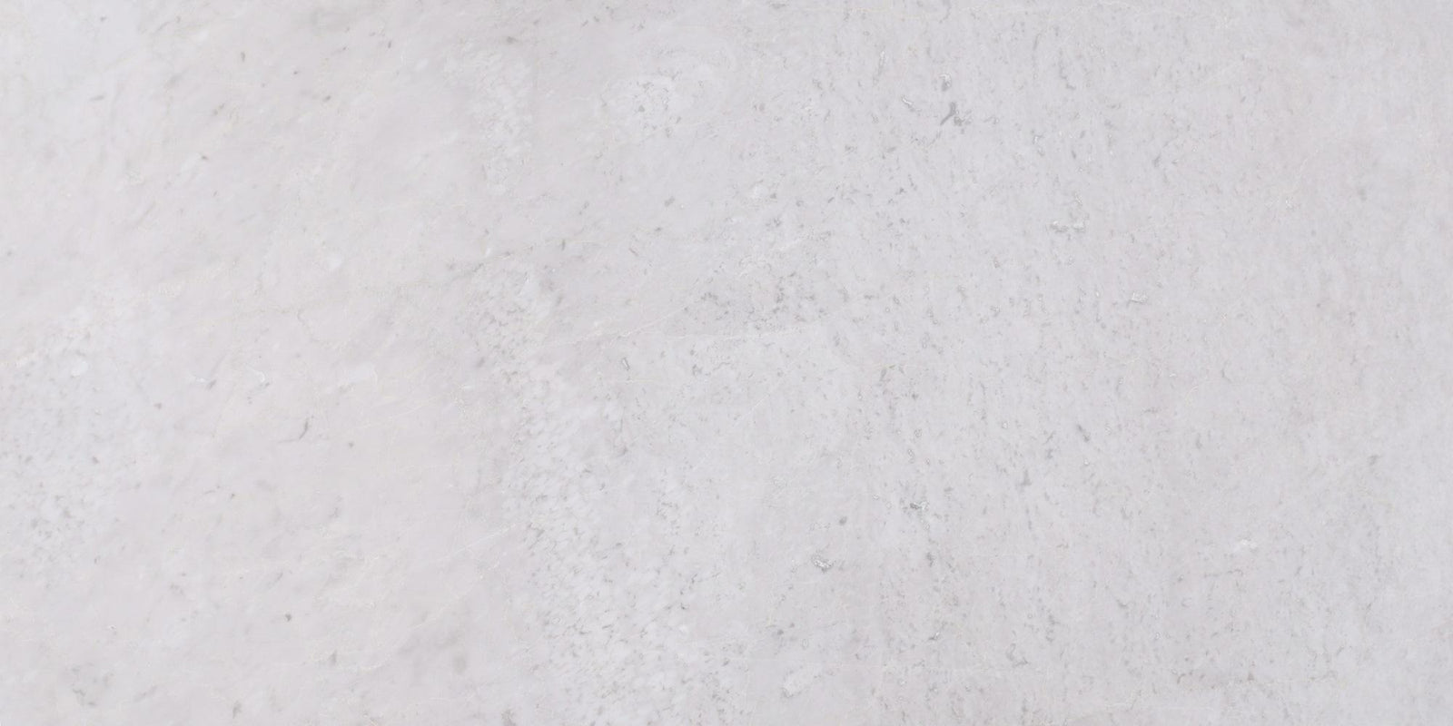 Ice Grey Polished 12'' x 24''  x 1/2'' Field Tile Field Tile 