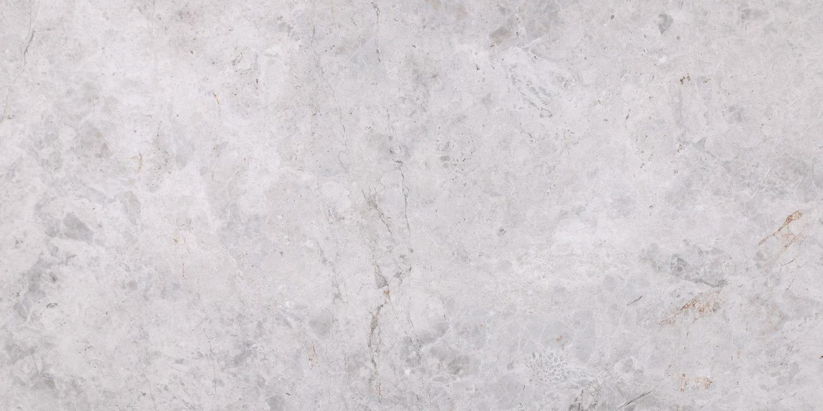 Tundra Grey Polished 12'' x 24''  x 1/2'' Field Tile Field Tile 