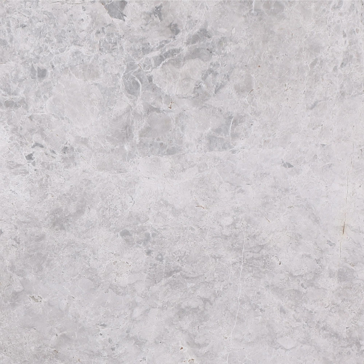 Tundra Grey Polished 12&#39;&#39; x 12&#39;&#39;  x 3/8&#39;&#39; Field Tile