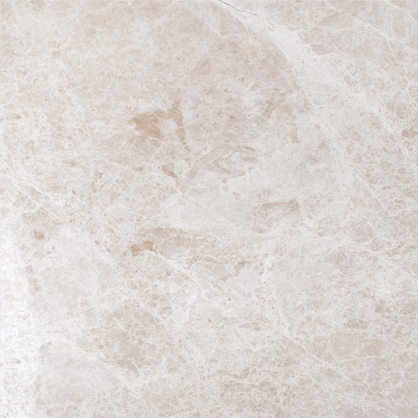 Vanillish Pearl Honed 16'' x 16''  x 5/8'' Field Tile Field Tile 