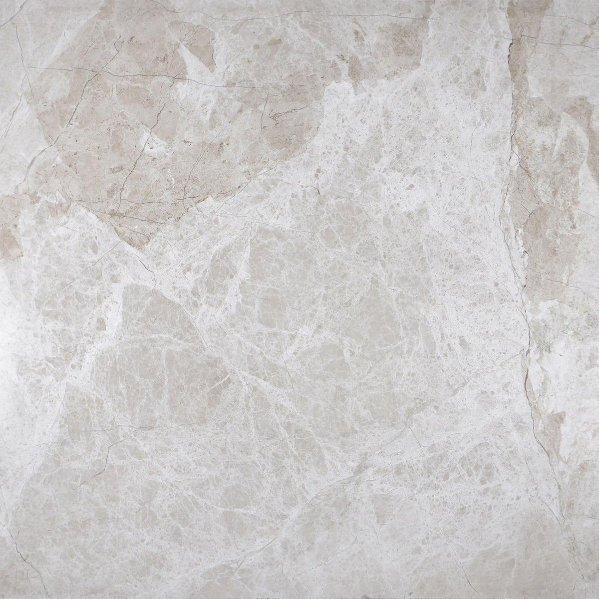 Cream Misto Honed 24&#39;&#39; x 24&#39;&#39;  x 5/8&#39;&#39; Field Tile