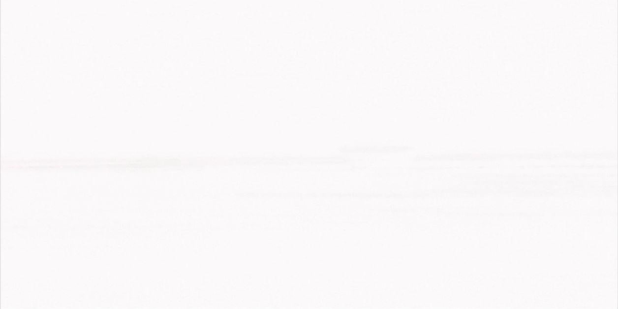 Glacier White Honed 3'' x 6''  x 3/8'' Field Tile Field Tile 