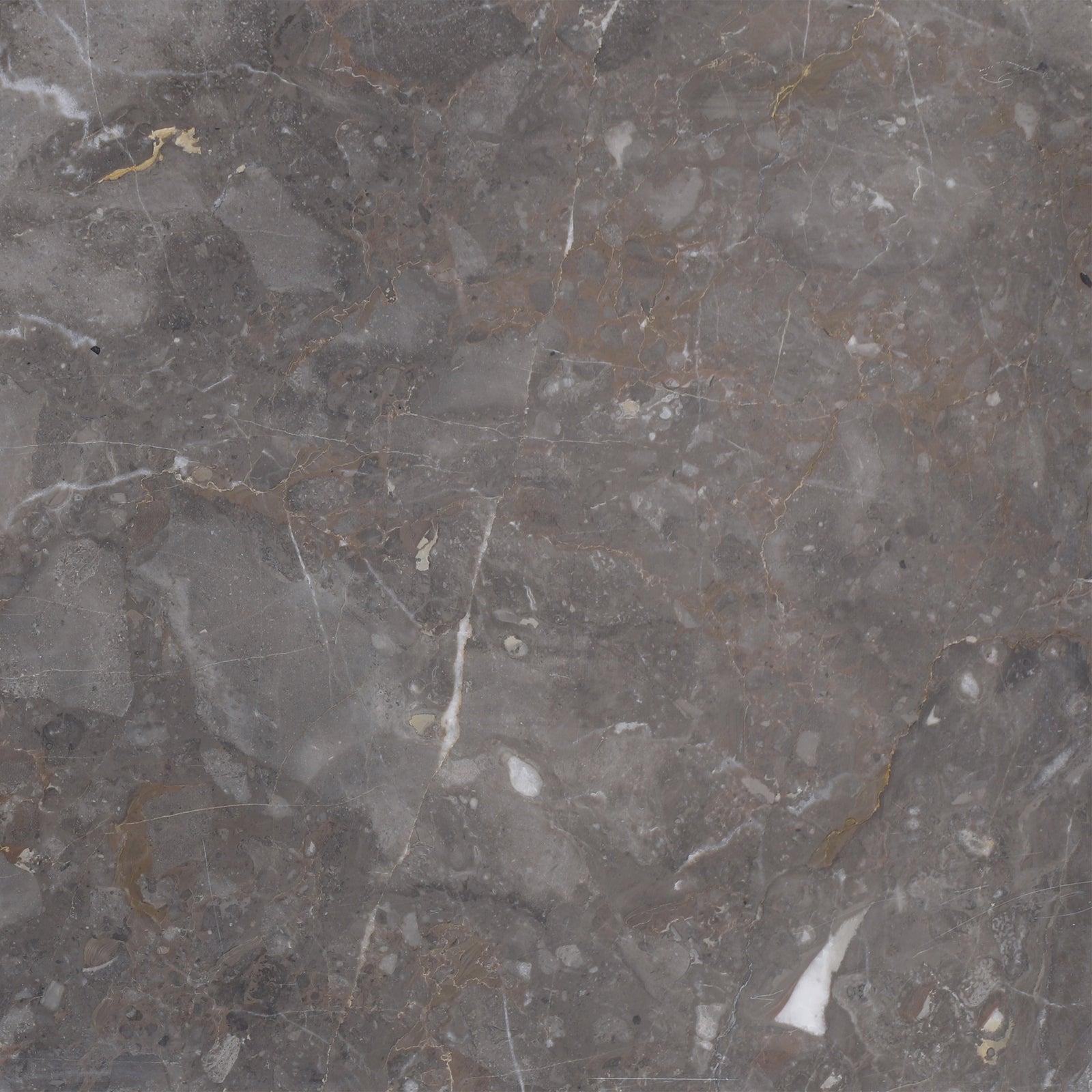 Caribbean Grey Honed 12'' x 12''  x 1/2'' Field Tile Building Materials 