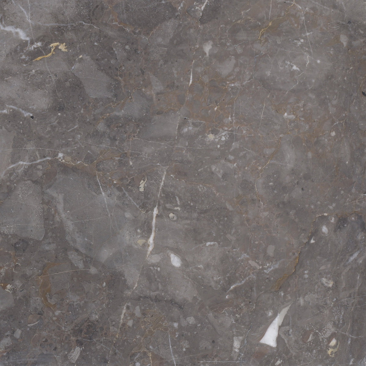 Caribbean Grey Honed 12'' x 12''  x 1/2'' Field Tile Building Materials 