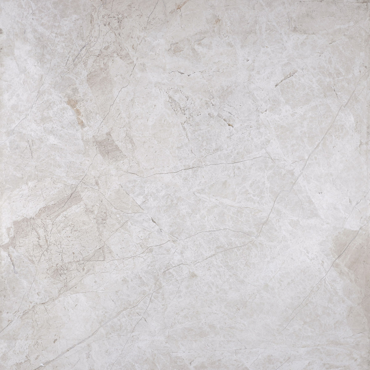 Cream Misto Honed 24'' x 24''  x 5/8'' Field Tile