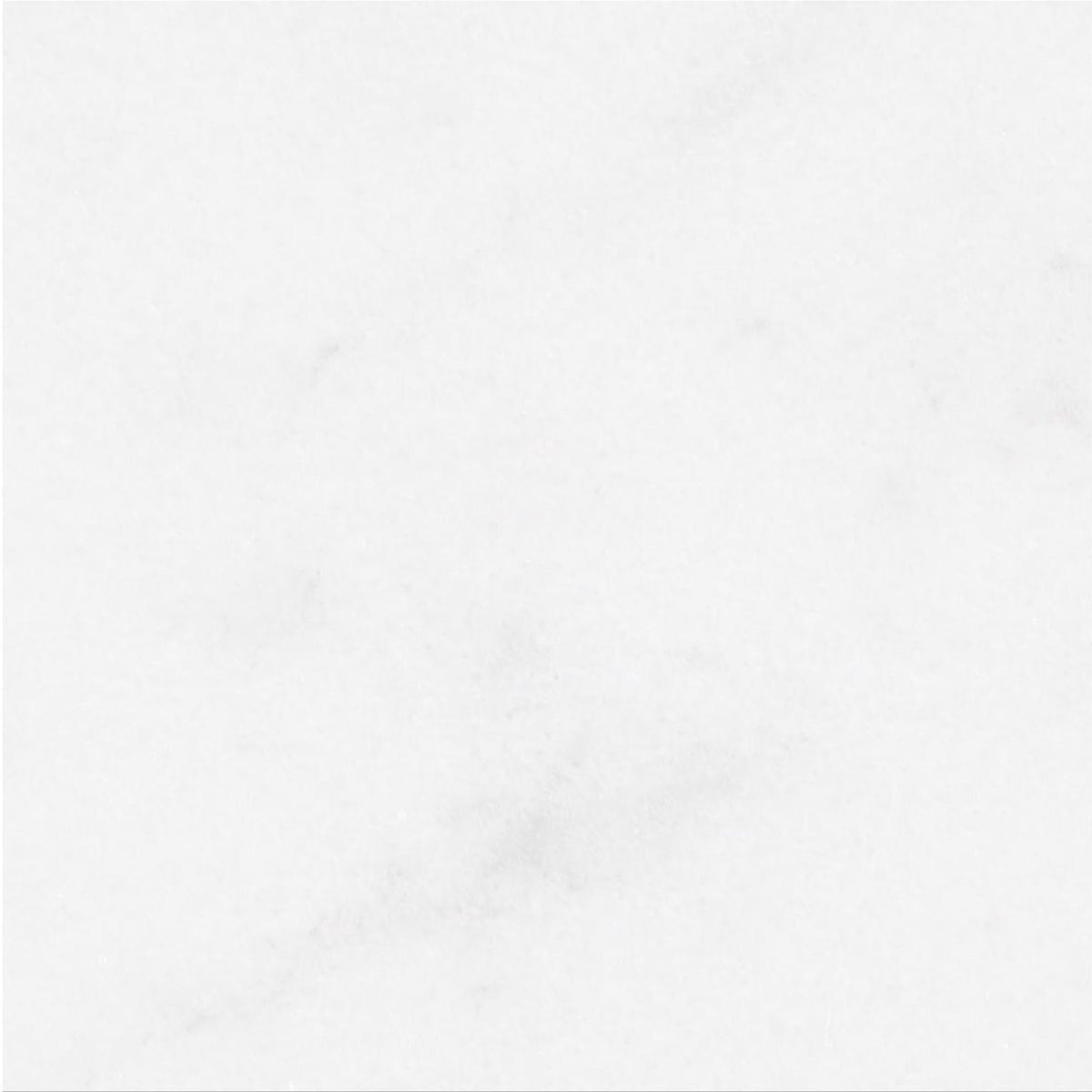 Alba Vera Polished 12&#39;&#39; x 12&#39;&#39;  x 3/8&#39;&#39; Field Tile